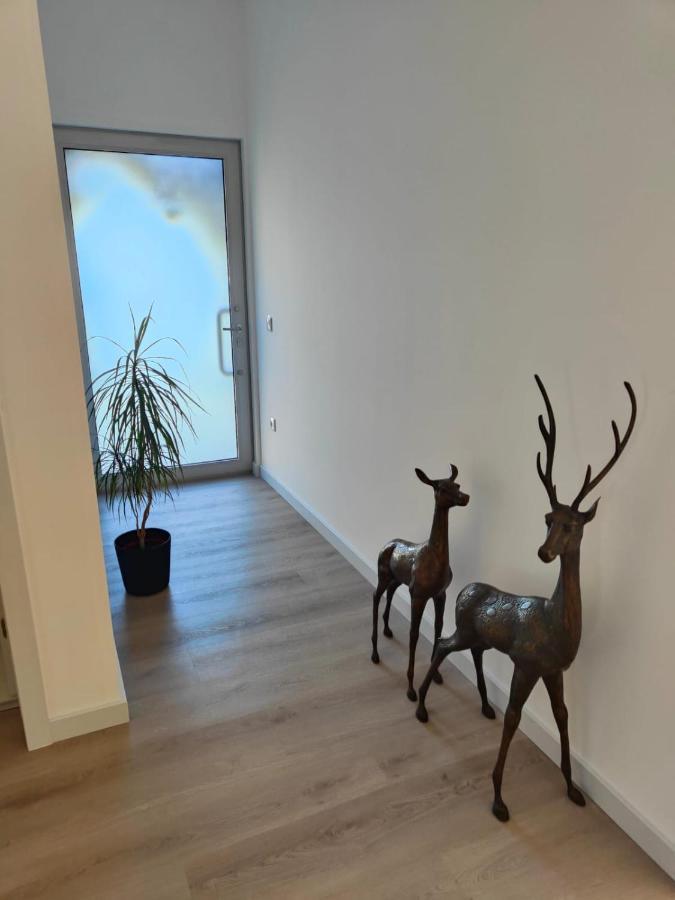 Quinta De Basto House Hotel เฟลเกรัช ภายนอก รูปภาพ